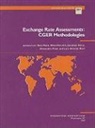 International Monetary Fund, Jaewoo Lee, Jaewoo Lee, Gian Maria Milesi-Ferretti, Jonathan D. Ostry, Jonathan David Ostry... - Exchange Rate Assessments