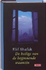 E. Shafak - De heilige van de beginnende waanzin