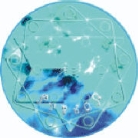 Kristall Mandala 9. Nabudah