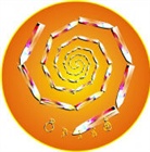 Kristall Mandala. Kajul