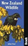 Julian Fitter, Julian Fittler - New Zealand Wildlife