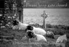 Astrid Behrendt, Astrid Behrendt, Jan Radermacher - Please keep gate closed