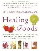 et all, Dr Michael Murray, Dr. Michael Murray, Michael Murray, Michael Pizzorno Murray, Dr. Joseph E. Pizzorno... - Encyclopaedia of Healing Foods
