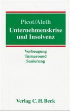 Franz Aleth, Gerhard Picot - Unternehmenskrise und Insolvenz