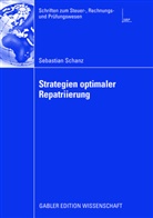 Sebastian Schanz - Strategien optimaler Repatriierung
