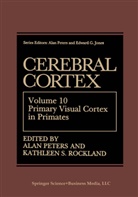 Edward G. Jones, Alan Peters, A. Peters, Alan Peters, K. S. Rockland, Kathleen S Rockland... - Cerebral Cortex