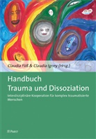 Claudi Fliss, Claudia Fliß, Igney, Igney, Claudia Igney - Handbuch Trauma und Dissoziation