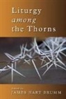 James Hart (EDT) Brumm, James Hart Brumm - Liturgy among the Thorns