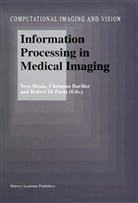 Y. Bizais, International Conference on Information, Christian Barillot, Yves Bizais, Robert Di Paola - Information Processing in Medical Imaging