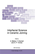 Alida Bellosi, Tomaz Kosmac, Antonio Tomsia, Alida Bellosi, Tomaz Kosmac, Antoni P Tomsia... - Interfacial Science in Ceramic Joining