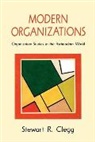 Stewart Clegg, Stewart R Clegg, Stewart R. Clegg - Modern Organizations