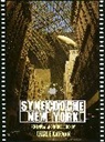 Charlie Kaufman, Kaufman Charlie - Synecdoche, New York