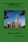Gleeson White - The Cathedral Church of Salisbury (1898 Revised Illustrated Edition)