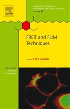 Gadella, Theodorus W. J. (Swammerdam Institute for Gadella, T. W. J. Gadella, Theodorus W J Gadella, Theodorus W. J. Gadella, Theodorus W. J. Gadella - Fret and Flim Techniques