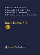 A. Baethmann, Alexander Baethmann, Z. Czernicki, Zbigniew Czernicki, J. T. Hoff, J.T. Hoff... - Brain Edema XII