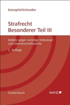 Diethelm Kienapfel, Kurt Schmoller - Strafrecht - Besonderer Teil III. Tl.3