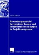Fabian Solbach - Anwendungspotenzial fuzzybasierter Kosten- und Investitionsentscheidungen im Projektmanagement