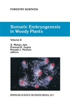 Mohan Jain, P K Gupta, P. K. Gupta, P.K. Gupta, PK Gupta, Pramod K. Gupta... - Somatic Embryogenesis in Woody Plants