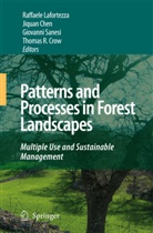 Jiqua Chen, Jiquan Chen, Thomas R. Crow, Raffaele Lafortezza, Giovanni Sanesi, Giovanni Sanesi et al - Patterns and Processes in Forest Landscapes
