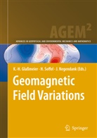 K. H. Glaßmeier, K.H. Glaßmeier, Karl-Heinz Glaßmeier, Jorg Negendank, Jörg Negendank, Jörg F. W. Negendank... - Geomagnetic Field Variations