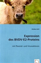 Wiebke Köhl - Expression desBVDV-E2-Proteins