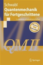 Franz Schwabl - Quantenmechanik für Fortgeschrittene (QM II)