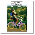 Ruth Güdel - Nettelis Velotour (Audio book)