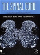 Gulgun Kayalioglu, George Paxinos, Watson, Charles Watson, Gulgun Kayalioglu, Kayalioglu Gulgun... - Spinal Cord