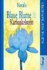 Novalis - Blaue Blume und Karfunkelstein