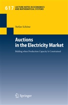 Stefan Schöne - Auctions in the Electricity Market