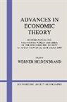 Werner Hildenbrand, Andrew Chesher, W. Hildenbrand - Advances in Economic Theory