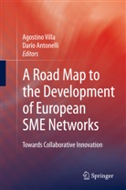Antonelli, Antonelli, Dario Antonelli, Agostin Villa, Agostino Villa - A Road Map to the Development of European SME Networks