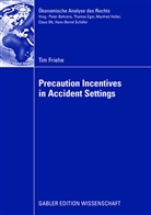 Tim Friehe - Precaution Incentives in Accident Settings