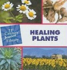 Pam Rosenberg - Healing Plants