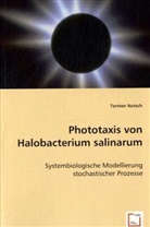 Torsten Nutsch - Phototaxis von Halobacterium salinarum