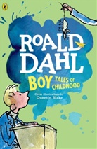 Quentin Blake, Roald Dahl, Quentin Blake - Boy