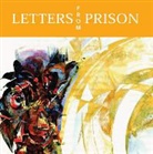 Roy Goetz, Dan Hennessey, Judy Hoelzeman - Letters from Prison: (Formerly Paul's Captivity Letters) (Audio book)