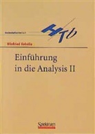 Winfried Kaballo - Einführung in die Analysis II