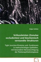 Holger Schlüter, Schlüter Holger - Schlussleisten (Zonulae occludentes)und biochemisch verwandte Strukturen