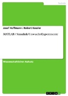 Josef Hoffmann, Rober Kessler, Robert Kessler - MATLAB / Simulink Unwucht-Experimente