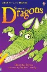 Rawson, Christophe Rawson, Christopher Rawson, Lesley Sims, Stephen Cartwright, Cartwright Stephen... - Stories of Dragons
