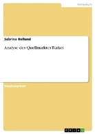 Sabrina Hollund, Stefanie Nüchtern - Analyse des Quellmarktes Türkei