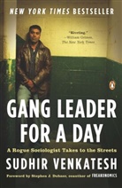 Sudhir Venkatesh - Gang Leader for a Day