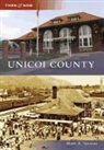 Mark A. Stevens - Unicoi County