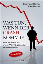 Eberhard Hamer, Eike Hamer - Was tun, wenn der Crash kommt?