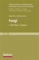 Matthias Schultz, Holge Thüs, Holger Thüs, Burckhard Büdel, Geor Gärtner, Georg Gärtner... - Süßwasserflora von Mitteleuropa - 21/1: Süßwasserflora von Mitteleuropa, Bd. 21/1 Freshwater Flora of Central Europe, Vol. 21/1: Fungi. Tl.1