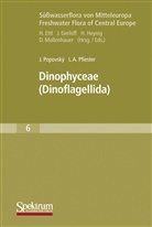L Pfiester, L. Pfiester, Jiri Popovsky, Jir Popovský, Jirí Popovský, Burkhard B¿del... - Süßwasserflora von Mitteleuropa - 6: Dinophyceae