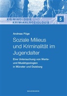 Andreas Pöge - Soziale Milieus und Kriminalität im Jugendalter