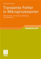 Bernhard Fechner - Transiente Fehler Mikroprozessoren