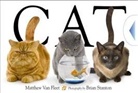 Matthew Van Fleet, Matthew Van Fleet, Matthew/ Stanton Van Fleet, Brian Stanton, Brian Stanton, Brian Stanton - Cat